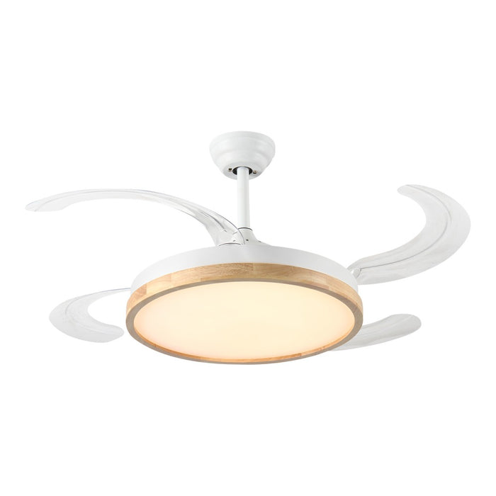 Windora Brielle 42" Wood Accent DC Ceiling Fan w/ 3CCT LED Remote Control