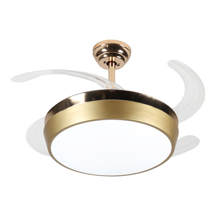 Windora Solara 42" Gold Rim DC Ceiling Fan w/ 3CCT LED Remote Control