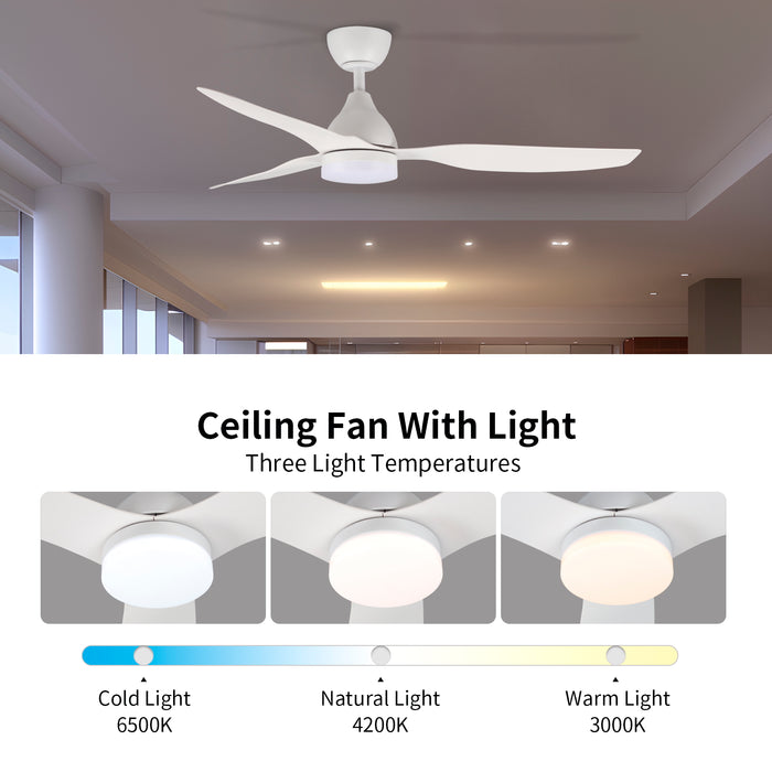 Windora Arin 52" DC Ceiling Fan with 3CCT LED Dimmable Light