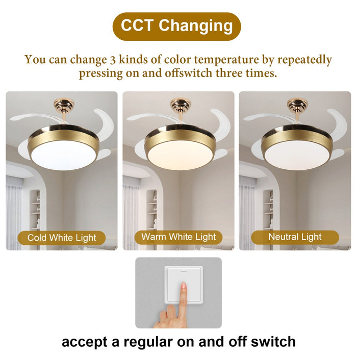 Windora Solara 42" Gold Rim DC Ceiling Fan w/ 3CCT LED Remote Control