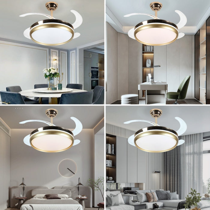 Windora Solene 42" Gold Retractable Blade DC Ceiling Fan w/ 3CCT LED Remote