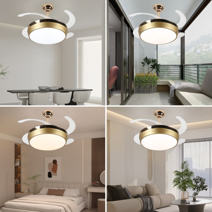 Windora Solara 42" Gold Rim DC Ceiling Fan w/ 3CCT LED Remote Control