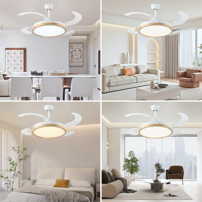 Windora Brielle 42" Wood Accent DC Ceiling Fan w/ 3CCT LED Remote Control