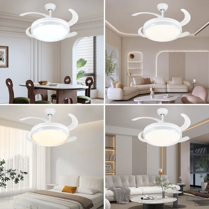 Windora Lyric 42" White Halo DC Ceiling Fan w/ 3CCT LED Remote Control