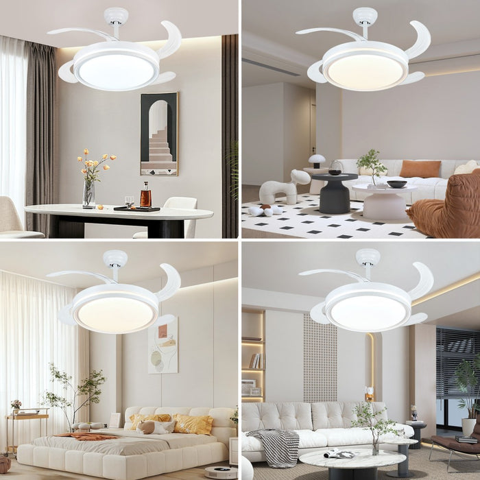 Windora Thalora 42" Modern DC Ceiling Fan w/ 3CCT LED Remote Control