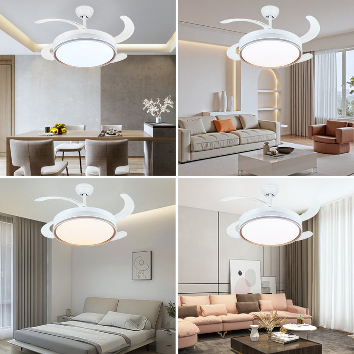 Windora Luno 42" Retractable Blade DC Ceiling Fan w/ 3CCT LED Remote Control
