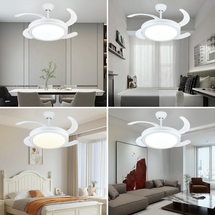 Windora Celeste 42" White Minimalist DC Ceiling Fan w/ 3CCT LED Remote Control