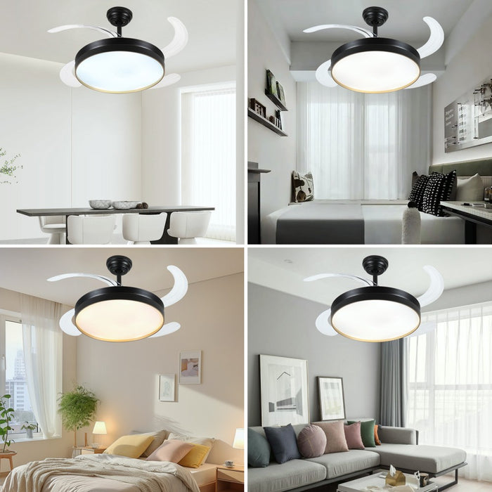 Windora Orien 42" Black Trim DC Ceiling Fan w/ 3CCT LED Remote Control