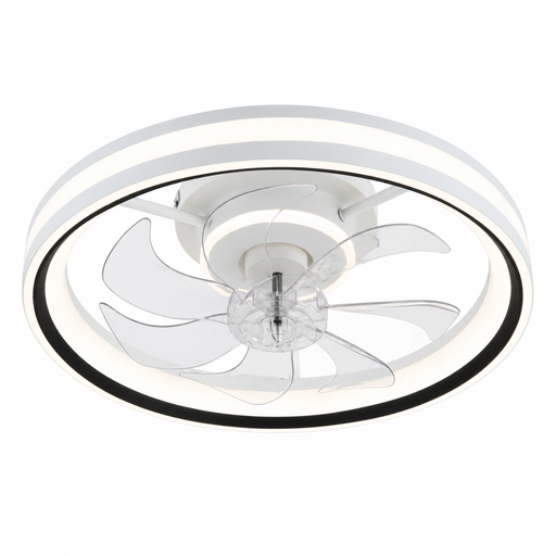 Calix light on a white background