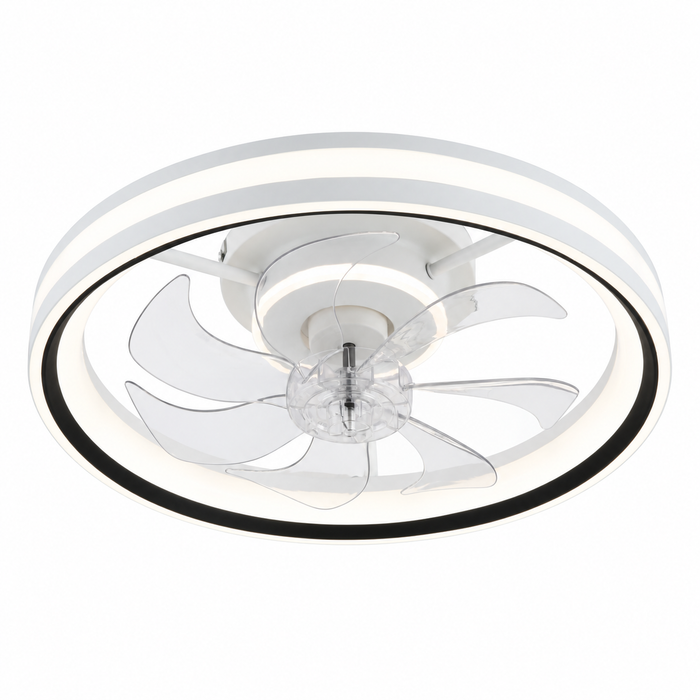 Calix light on a white background