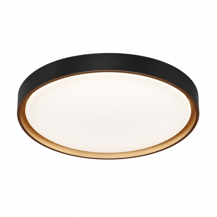 Cosima light on a white background