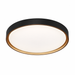 Cosima light on a white background