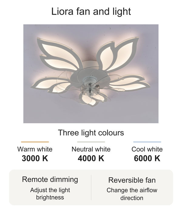Liora ceiling fan and light with 3000 K, 4000 K and 6000 K light options, remote dimming and reversible fan operation.