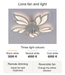 Liora ceiling fan and light with 3000 K, 4000 K and 6000 K light options, remote dimming and reversible fan operation.