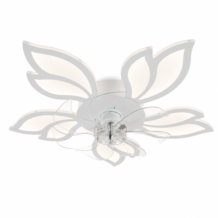 Windora Liora ceiling fan light on a white background