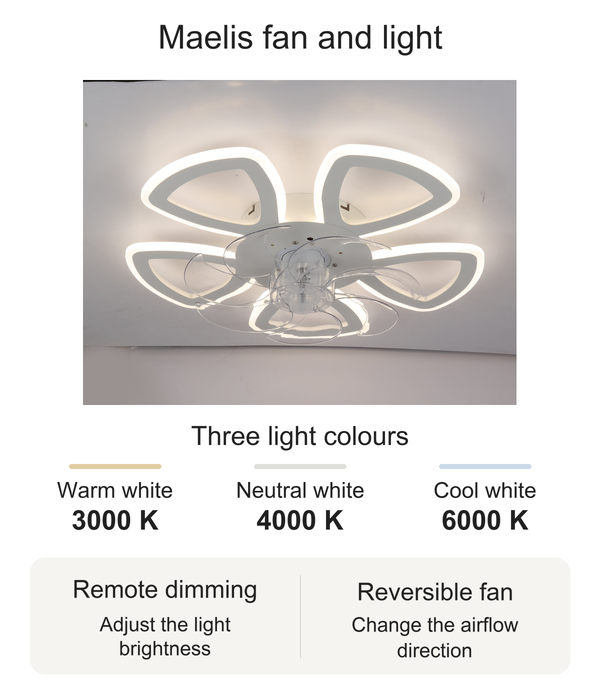 Maelis ceiling fan and light with 3000 K, 4000 K and 6000 K light options, remote dimming and reversible fan operation.