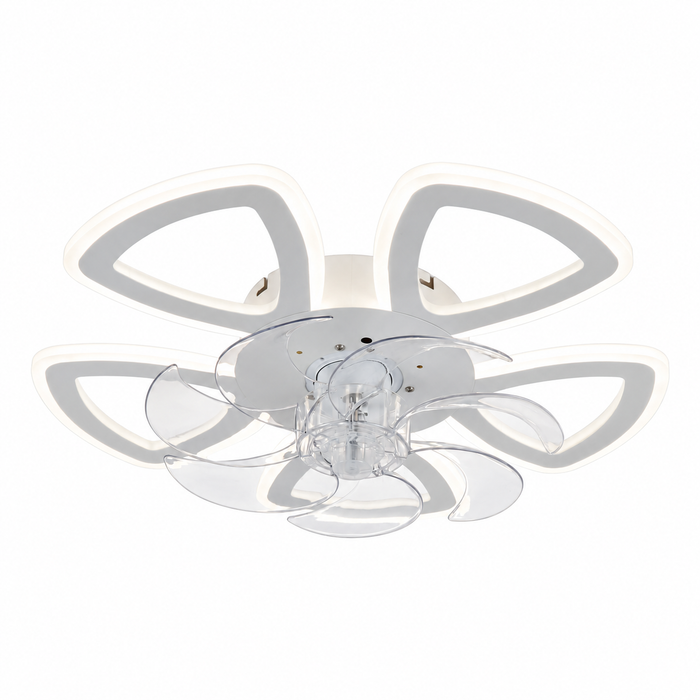 Maelis light on a white background