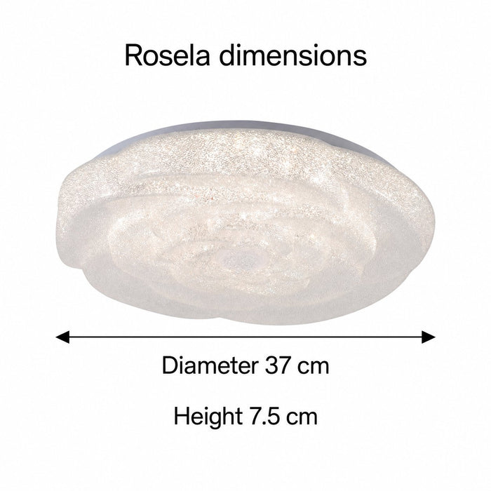 Rosela dimension diagram showing the fitting diameter and height